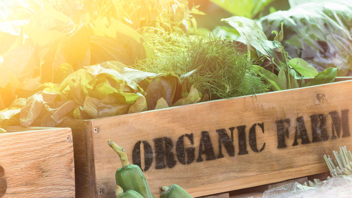 Seasonal summer fruits and pesticide residue